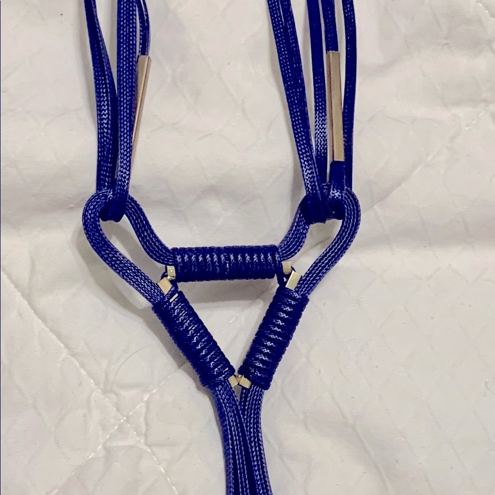 Blue Leather and gold fringe necklace